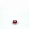 Garnet