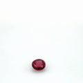 Garnet