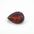 Garnet